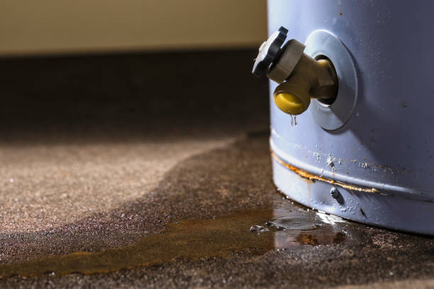 Best Fire Damage Restoration  in Salem, IL