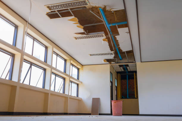 Best Water damage contractors near me  in Salem, IL