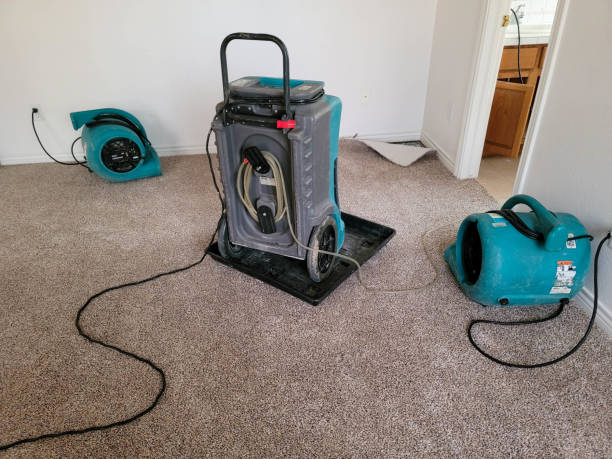 Best Professional water damage repair  in Salem, IL