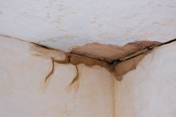  Salem, IL Water damage restoration Pros
