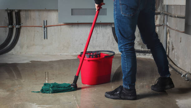 Best Flooded house restoration  in Salem, IL