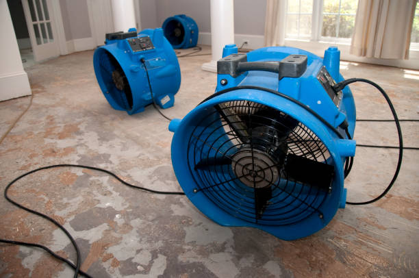 Best Flood restoration services  in Salem, IL