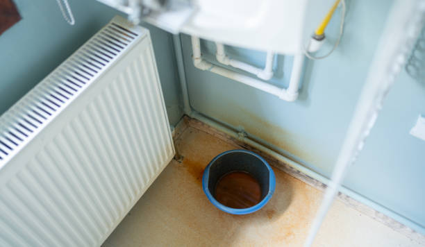 Carpet water damage restoration in IL