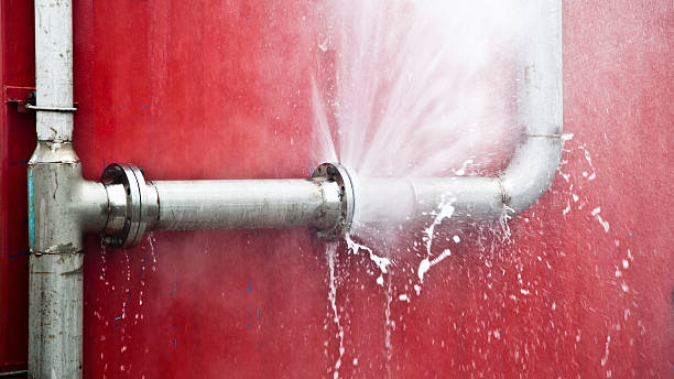 Best Flood damage cleanup  in Salem, IL